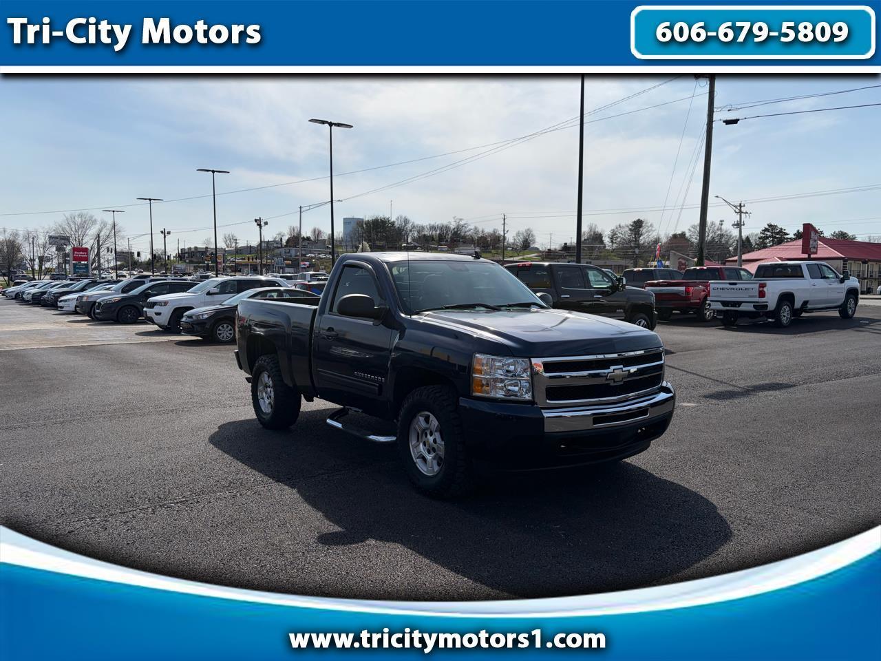 2009 Chevrolet Silverado 1500 4WD Reg Cab 119.0" LT