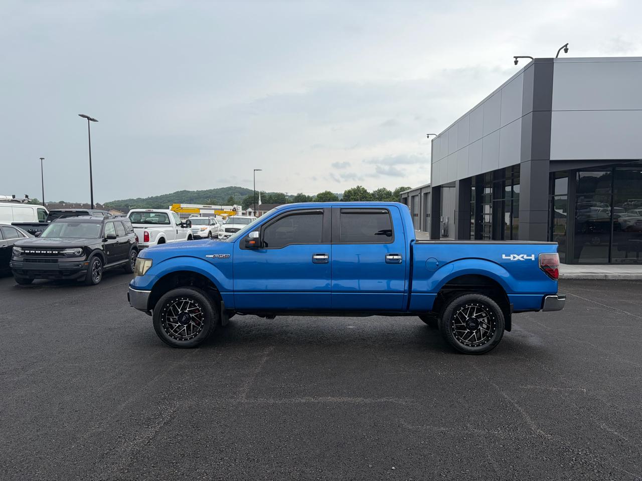 Ford F-150 4WD SuperCrew 145" XLT 2013