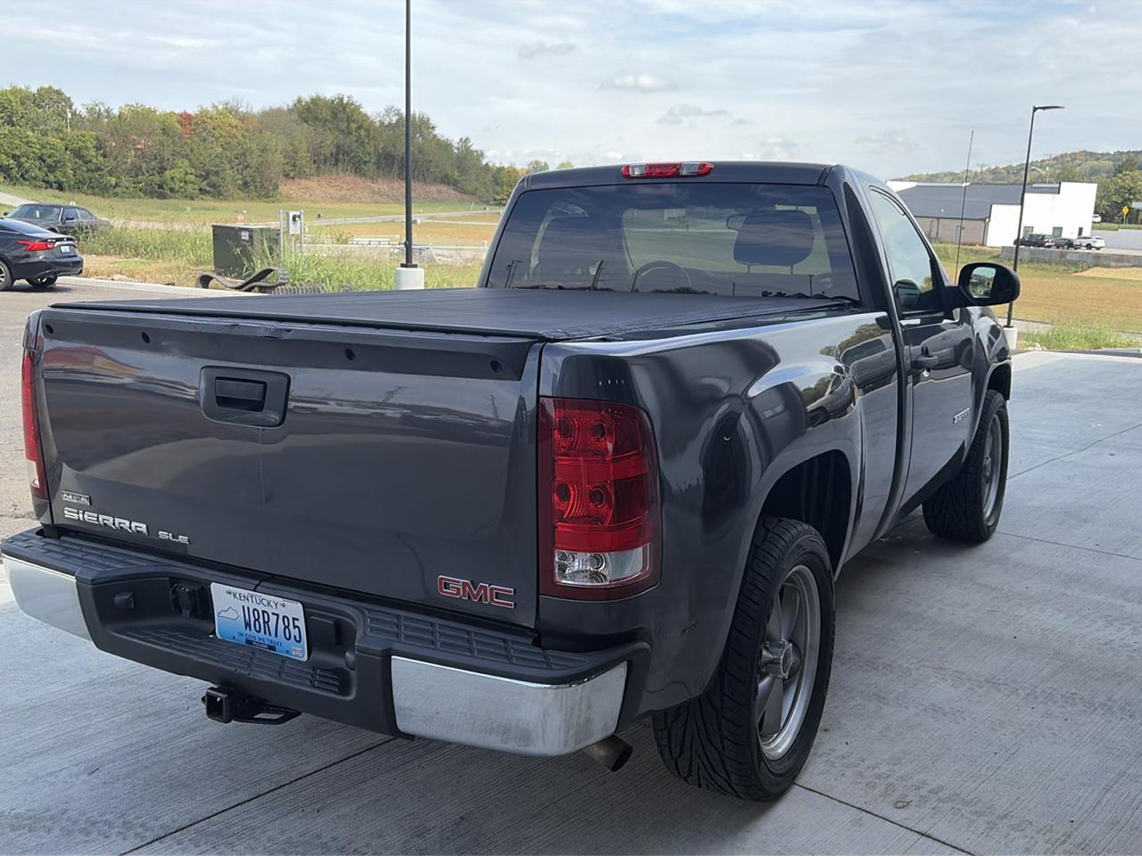 GMC Sierra 1500 2WD Reg Cab 119.0" SLE 2010