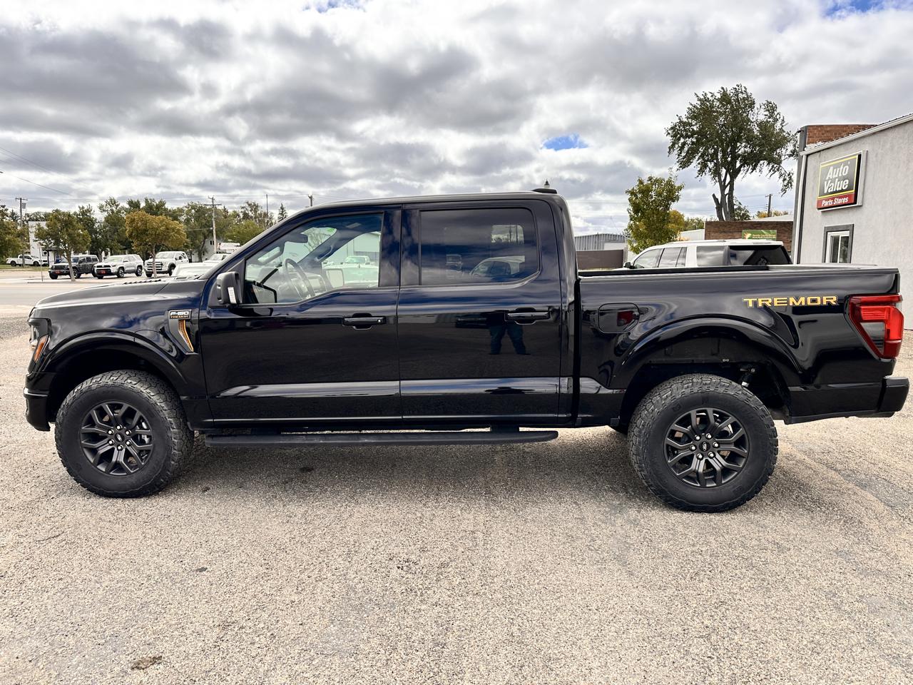 Ford F-150 Tremor 4WD SuperCrew 5.5' Box 2025