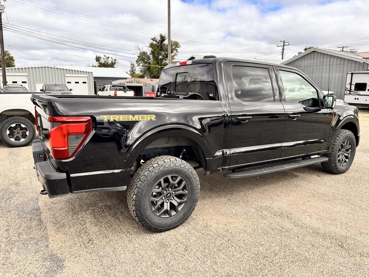 Ford F-150 Tremor 4WD SuperCrew 5.5' Box 2025