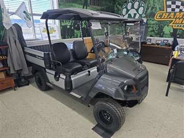 2024 Yamaha Golf Cart 