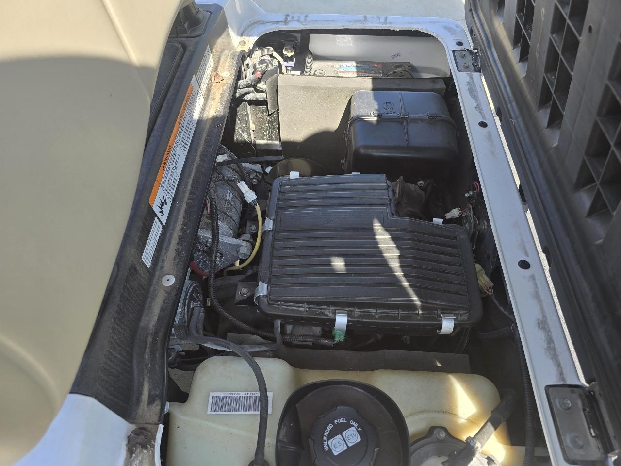Yamaha Golf Cart  2019