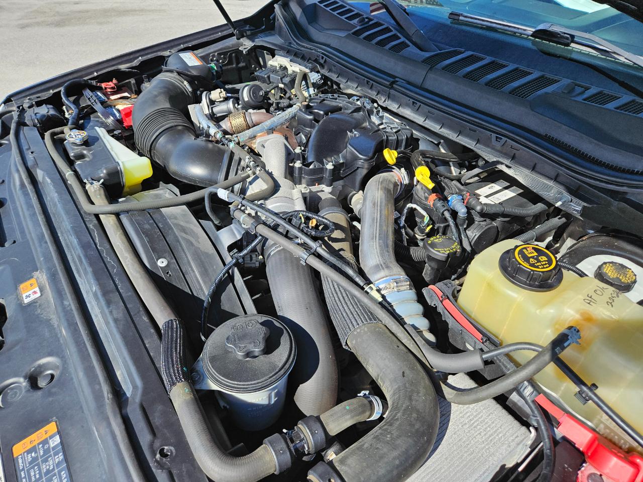 Ford Super Duty F-250 SRW XLT 4WD Crew Cab 6.75' Box 2019