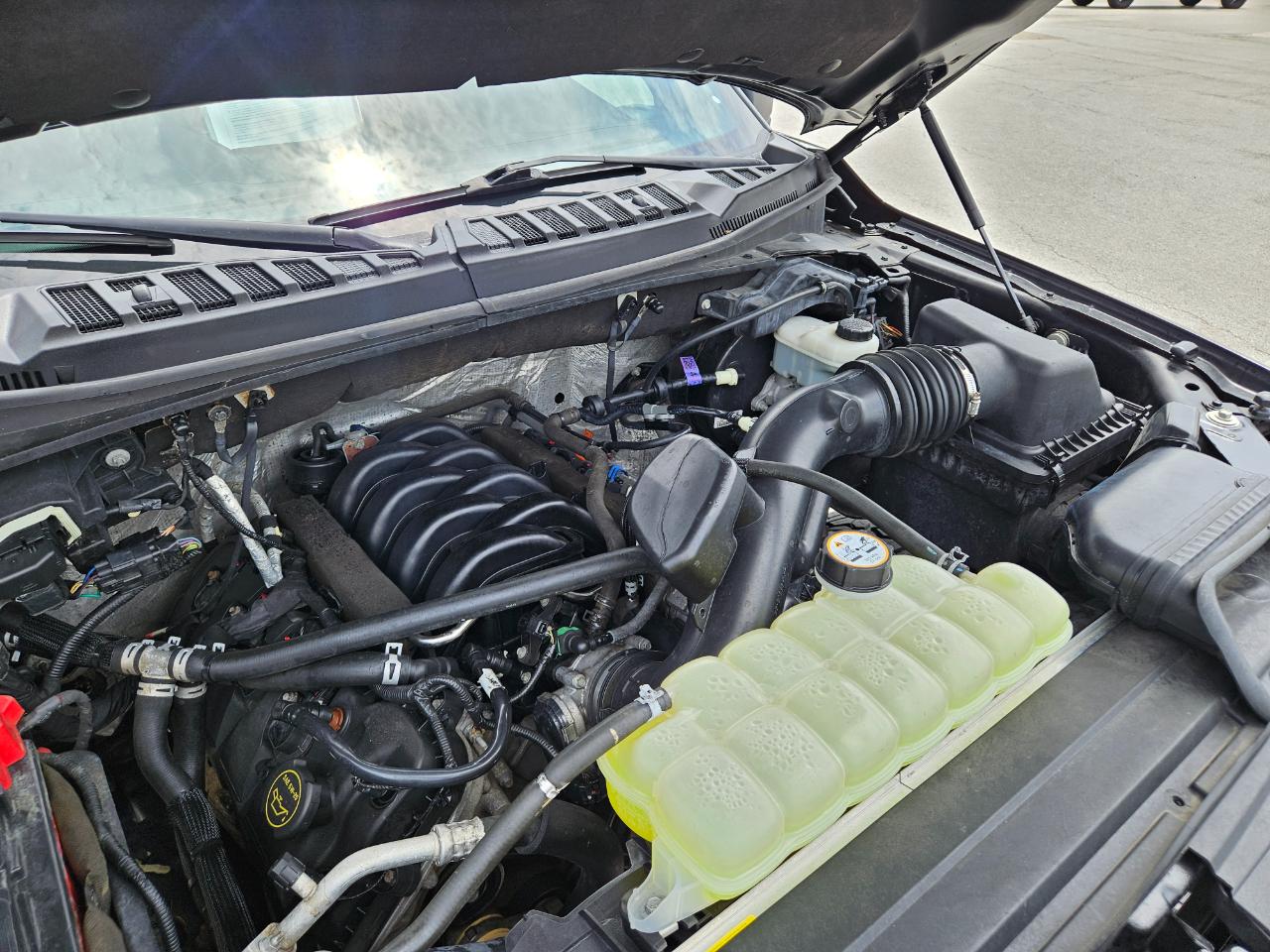 Ford F-150 4WD SuperCrew 145" XLT 2016