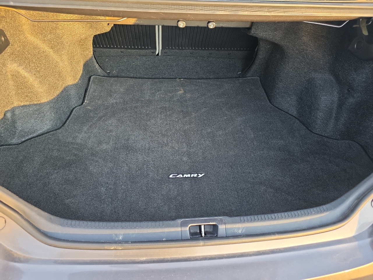 Toyota Camry 4dr Sdn I4 Auto SE w/Special Edition Pkg (Natl) 2016