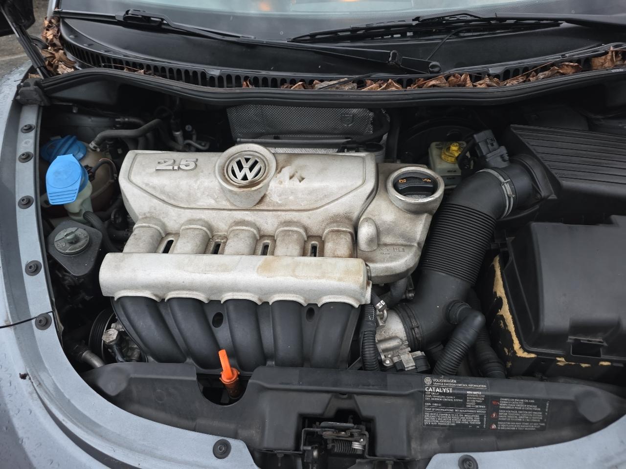 Volkswagen New Beetle Coupe 2dr 2.5L Auto 2008