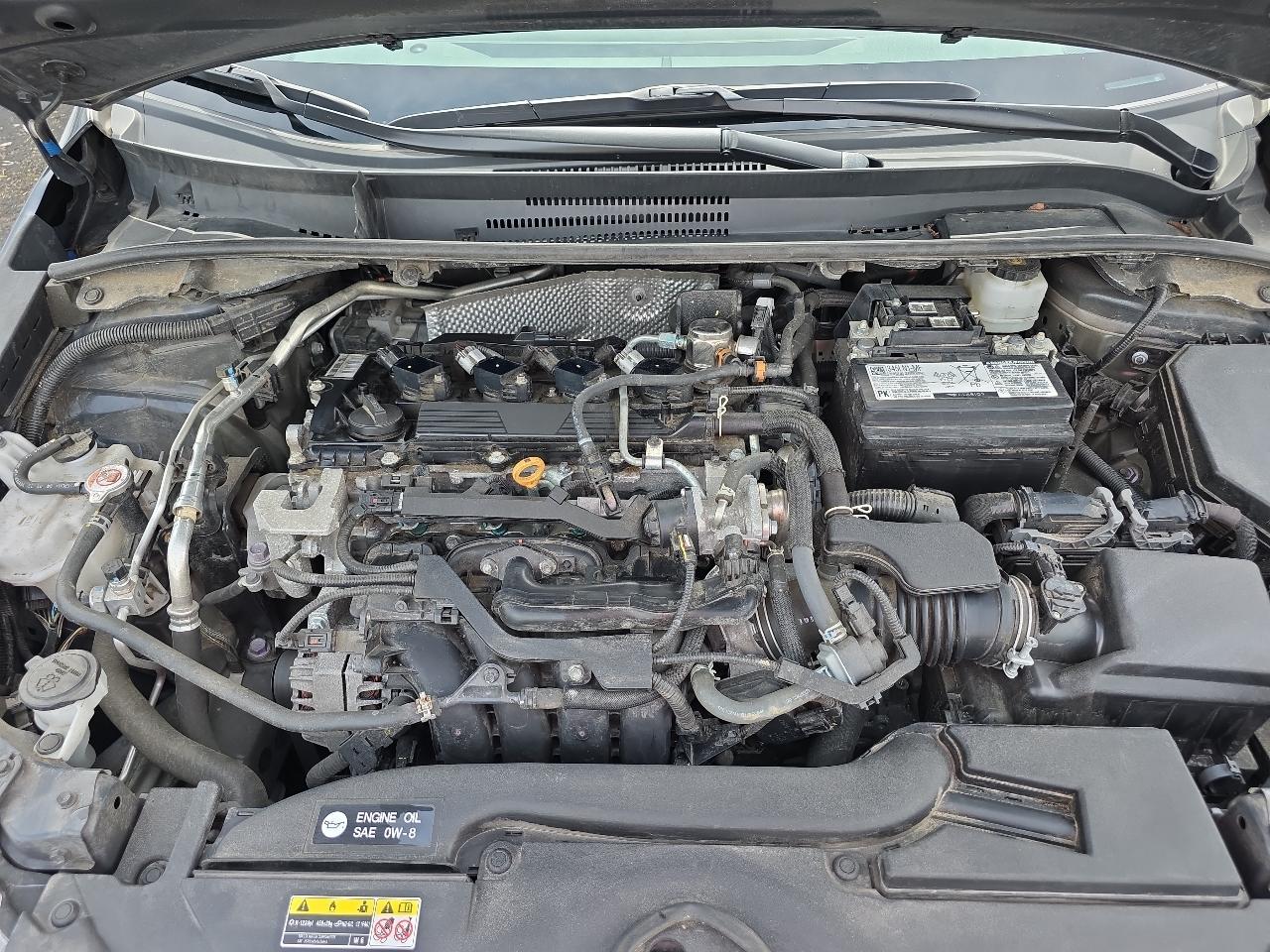 Toyota Corolla LE CVT (Natl) 2024