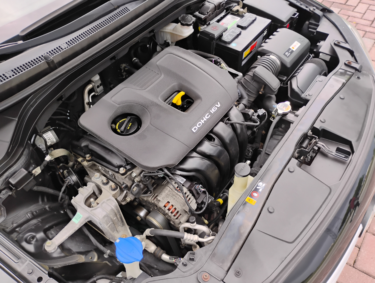 Hyundai Elantra SE Auto 2017