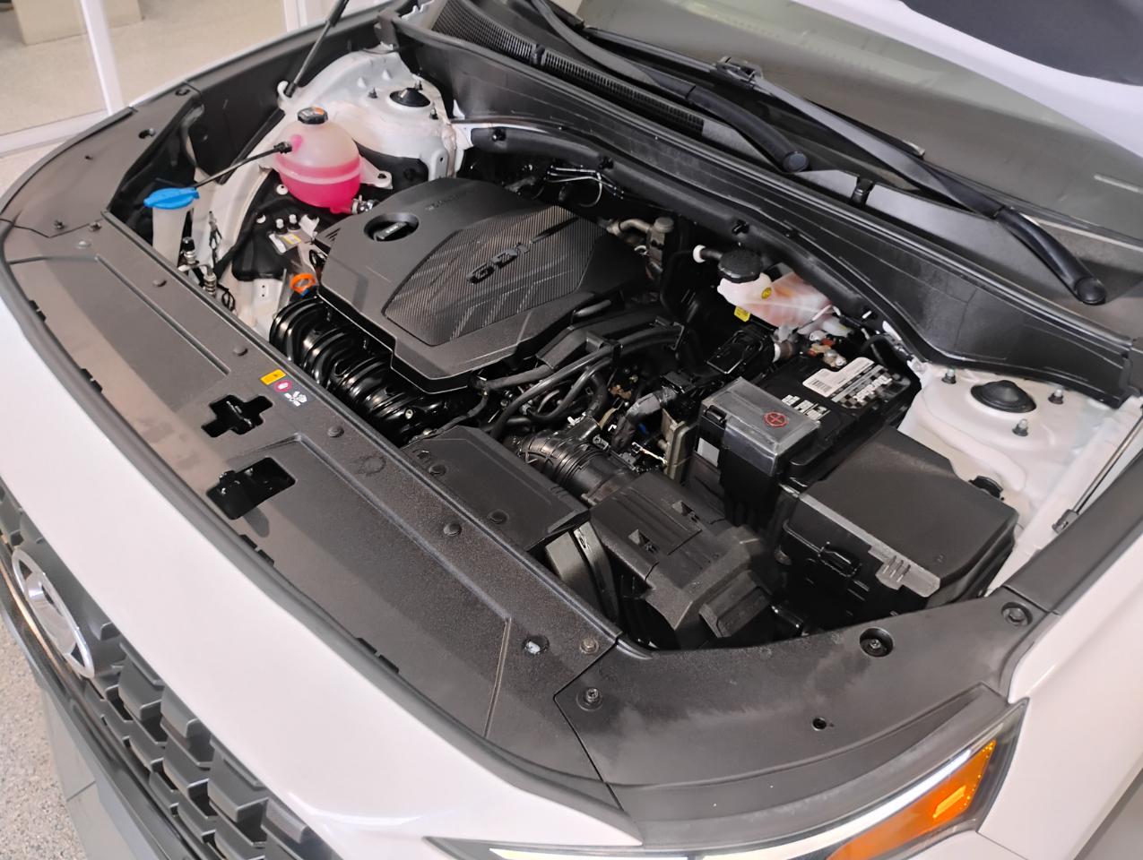 Hyundai Santa Fe SEL w/Convenience Package 2022