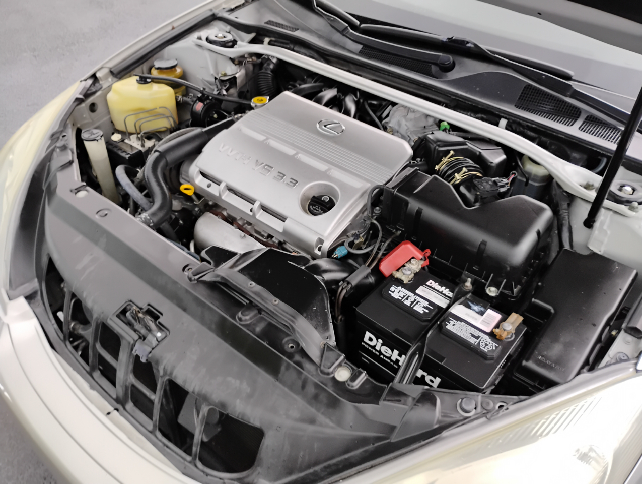 Lexus ES 330 Sedan 2004