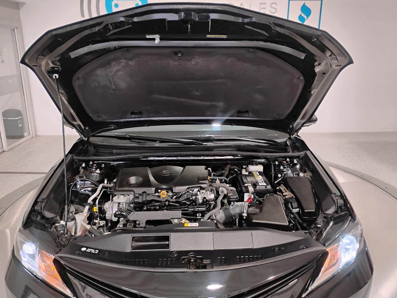 Toyota Camry LE 2023