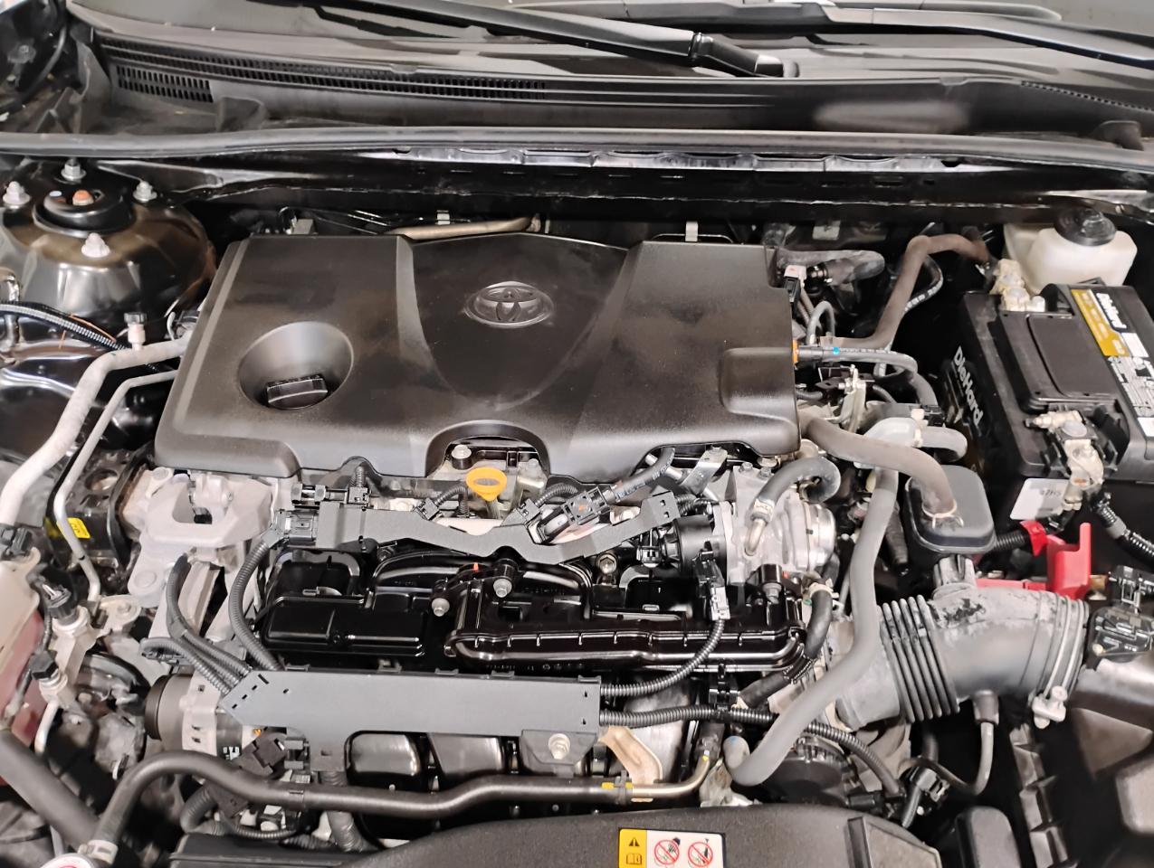 Toyota Camry LE 2023