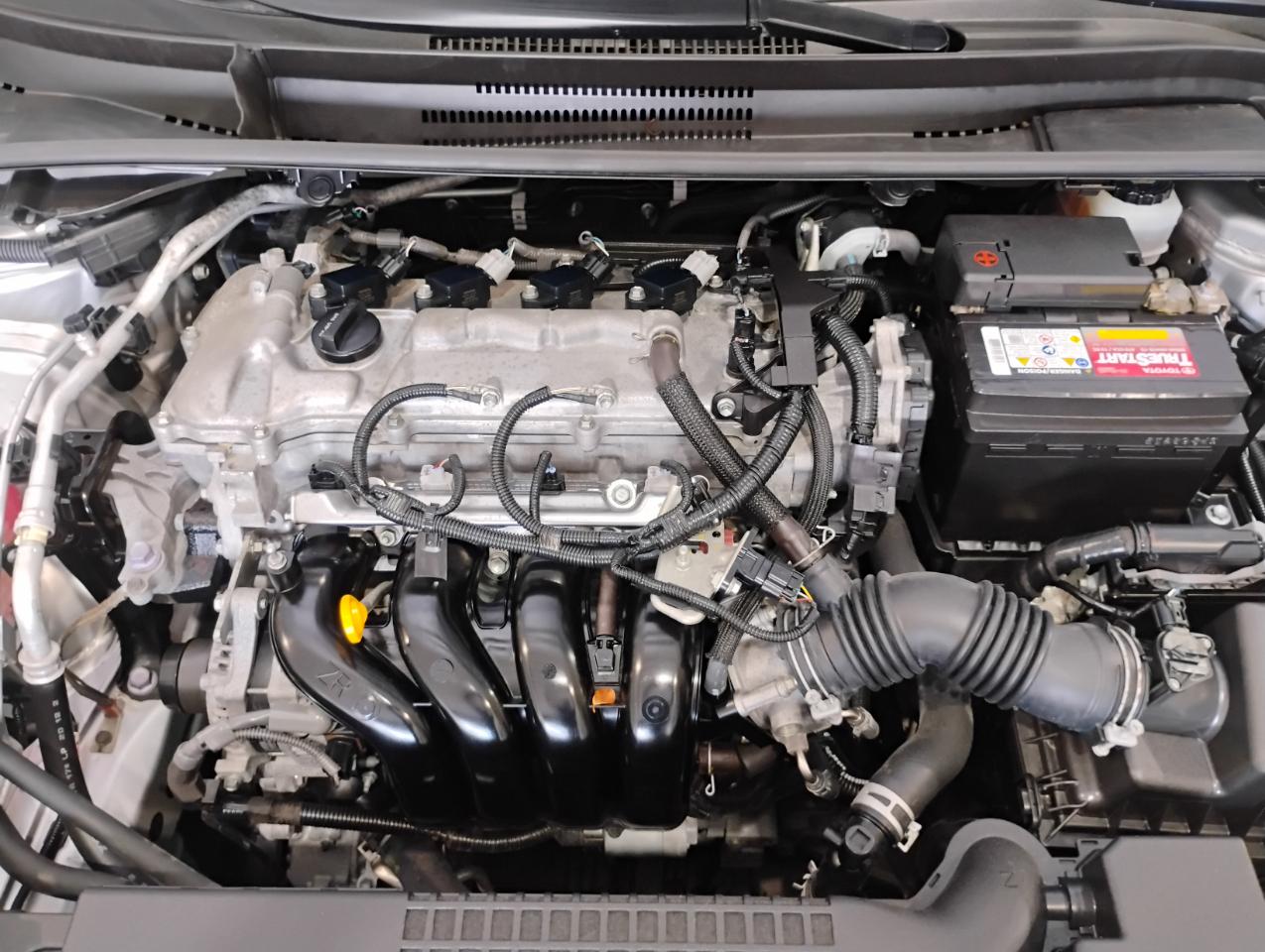 Toyota Corolla LE 2020
