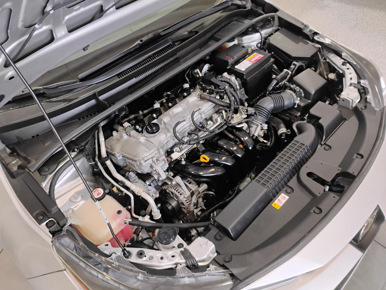 Toyota Corolla LE 2020