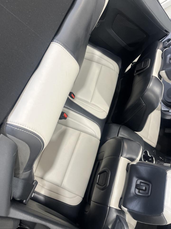 Ford Mustang EcoBoost Premium Convertible 2024