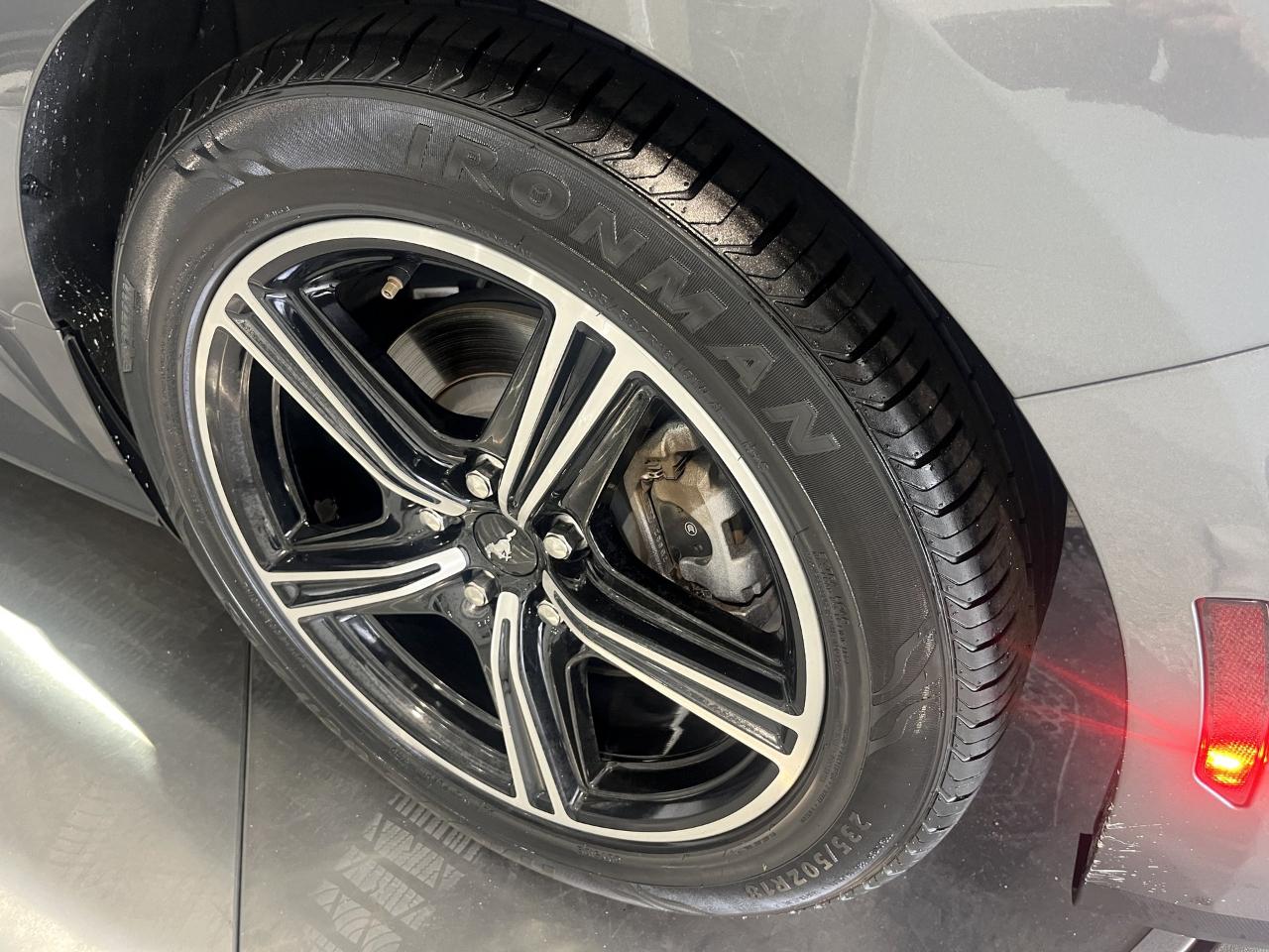 Ford Mustang EcoBoost Premium Convertible 2024