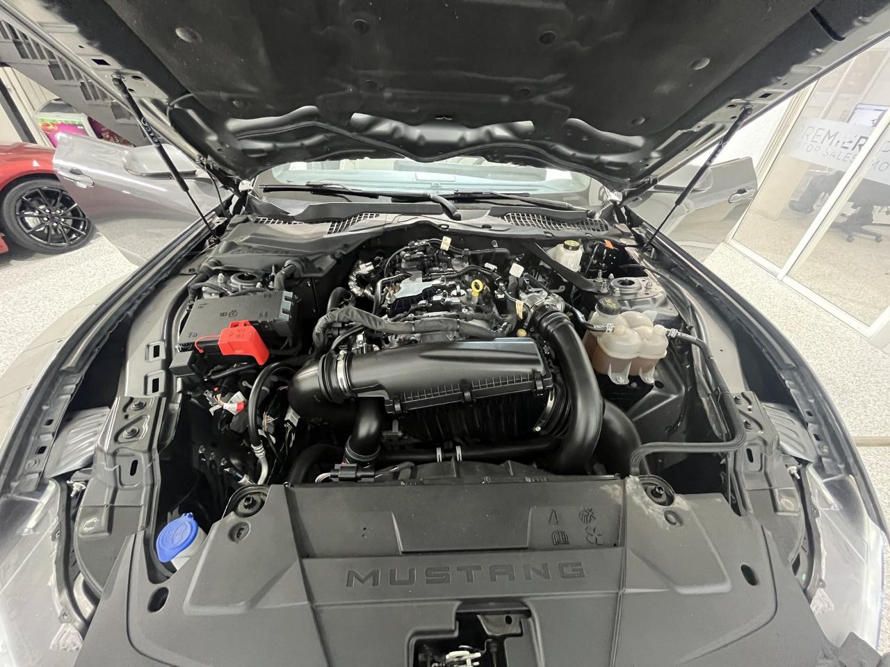 Ford Mustang EcoBoost Premium Convertible 2024