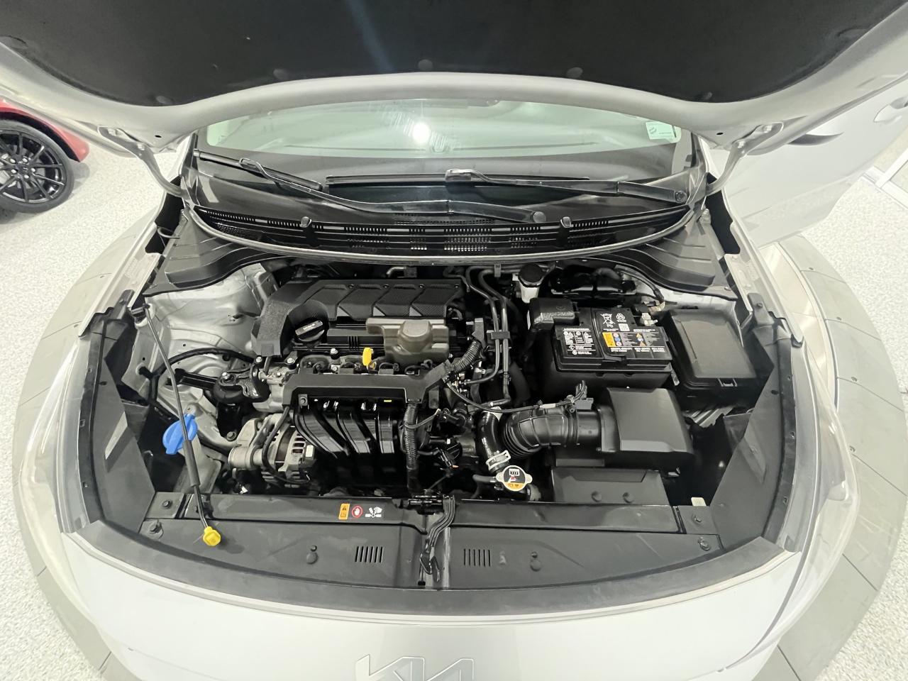 Kia Rio LX 2022