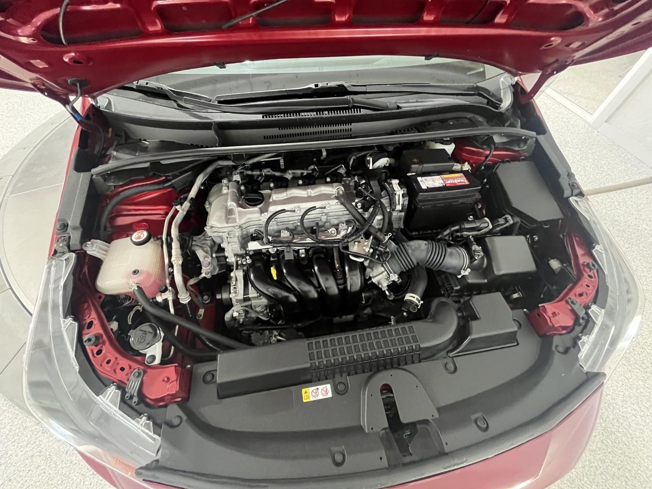 Toyota Corolla LE 2022