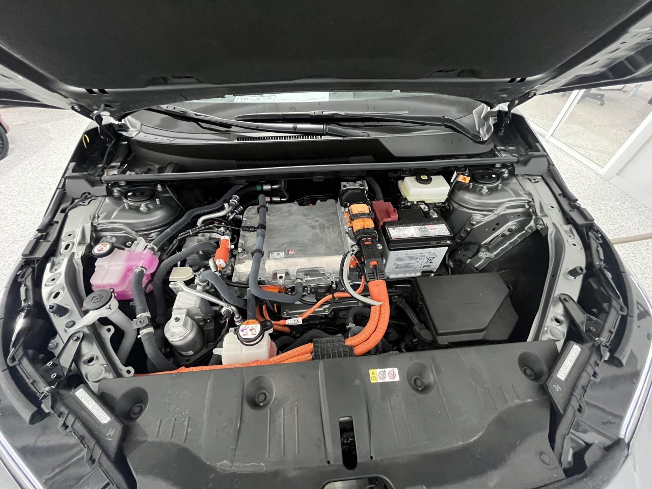 Toyota bZ XLE Plus 2026