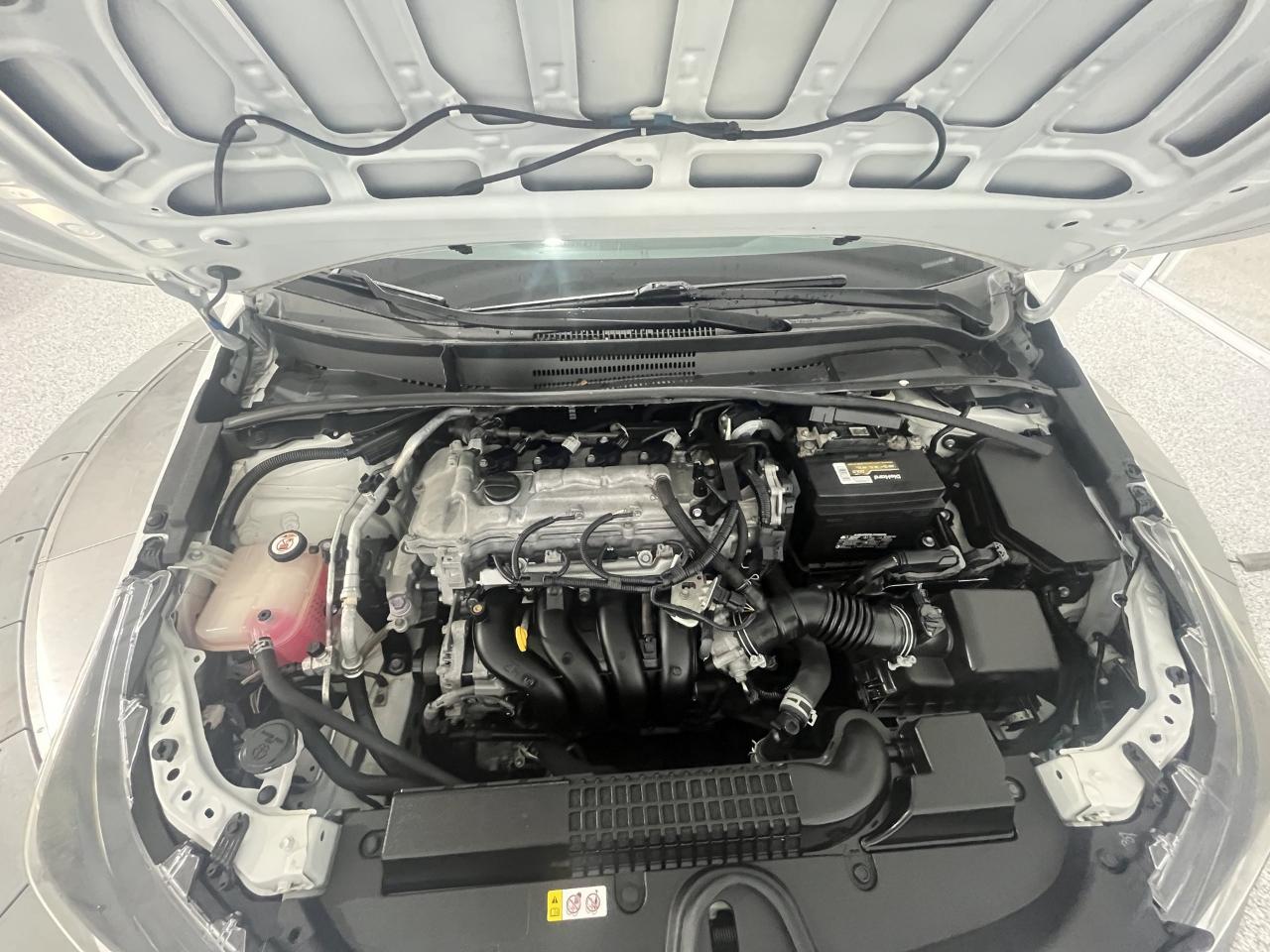 Toyota Corolla LE 2021