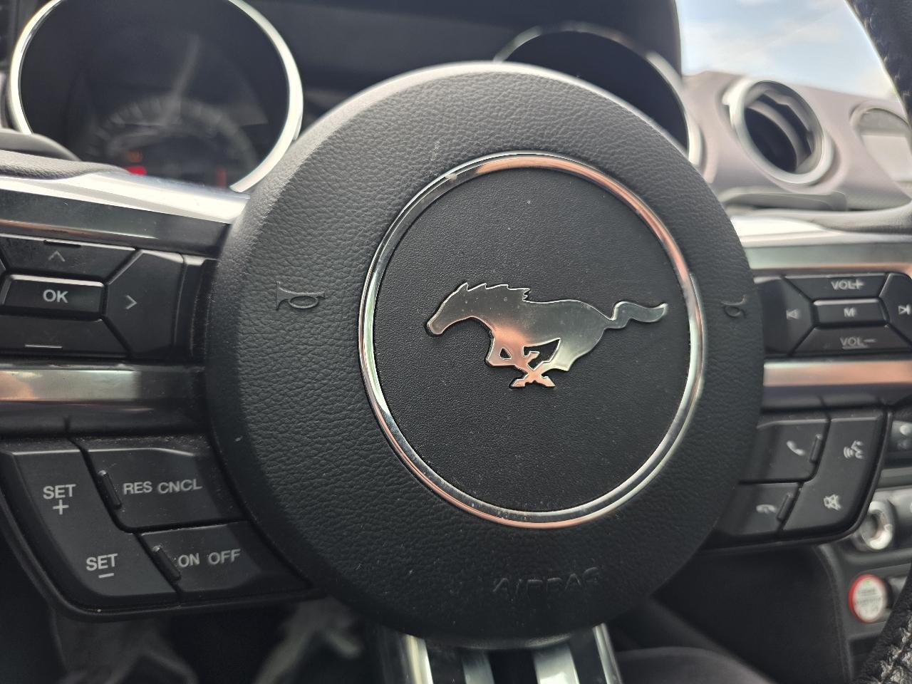 Ford Mustang GT Premium Coupe 2017