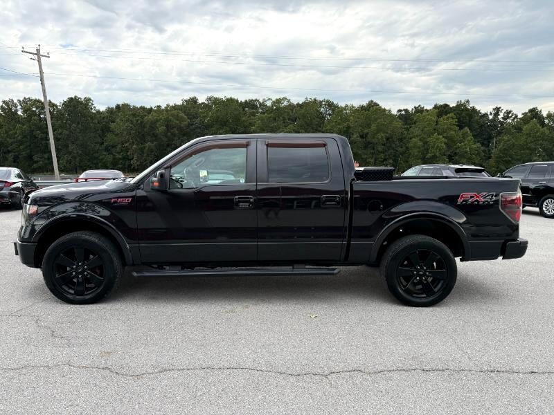 Ford F-150 4WD SuperCrew 145" FX4 2014 Ford F-150 4WD SuperCrew 145" FX4 2014