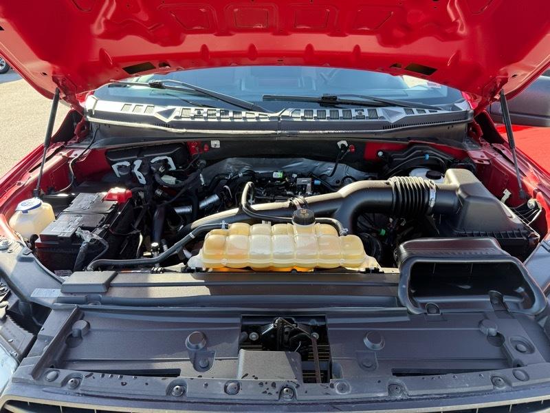 Ford F-150 XL 4WD SuperCrew 5.5' Box 2020