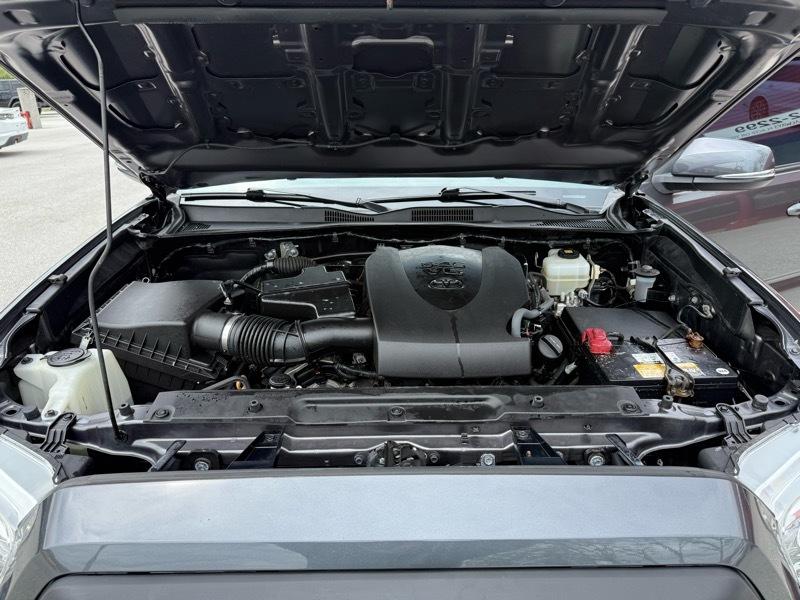 Toyota Tacoma 4WD TRD Off Road Double Cab 5' Bed V6 MT (Natl) 2019