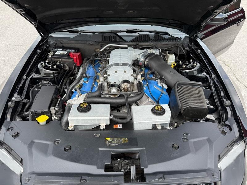 Ford Mustang 2dr Cpe Shelby GT500 2012