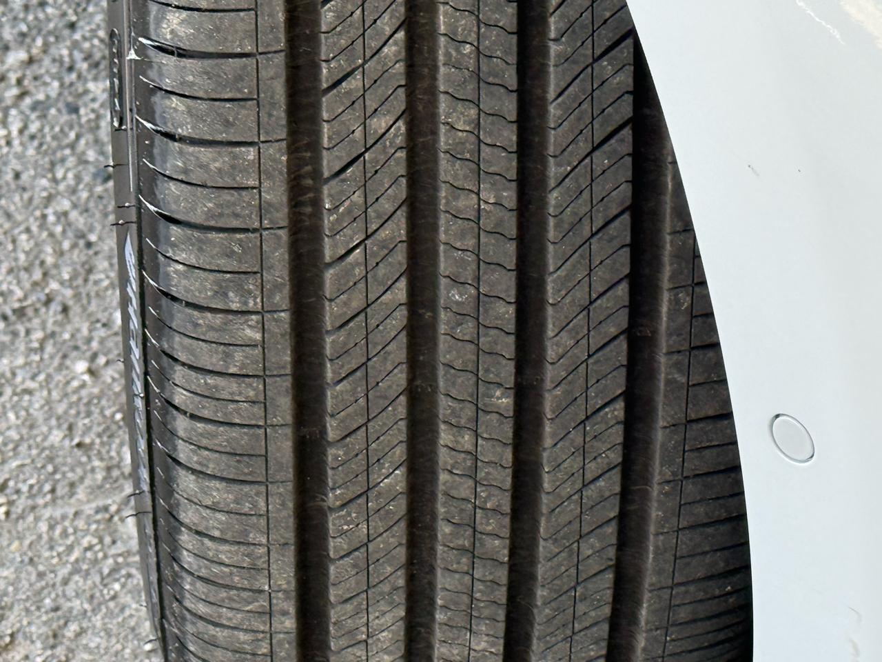 Tesla Model S Performance AWD *Ltd Avail* 2021