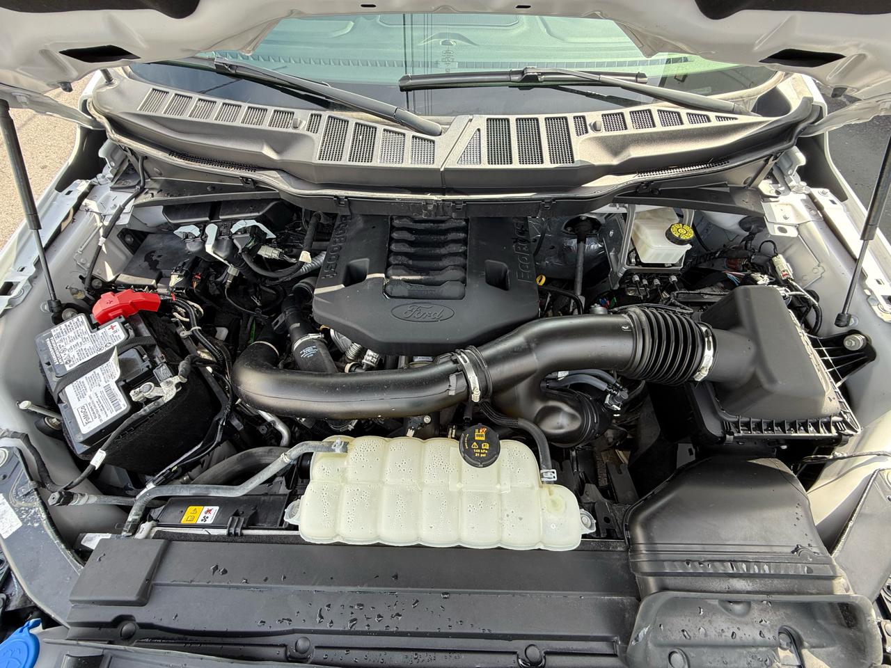 Ford F-150 XLT 4WD SuperCrew 6.5' Box 2023
