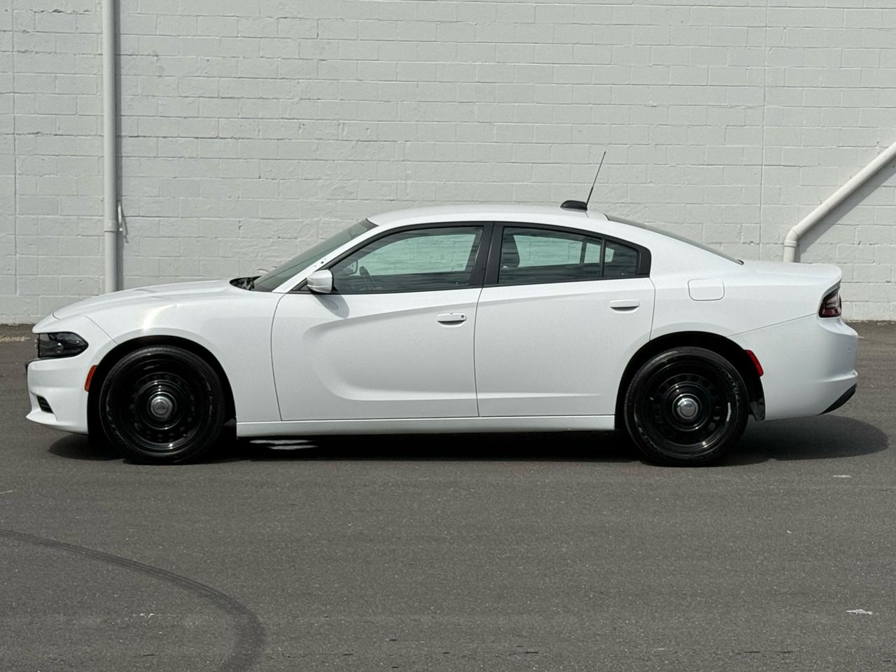 Dodge Charger Police AWD 2019