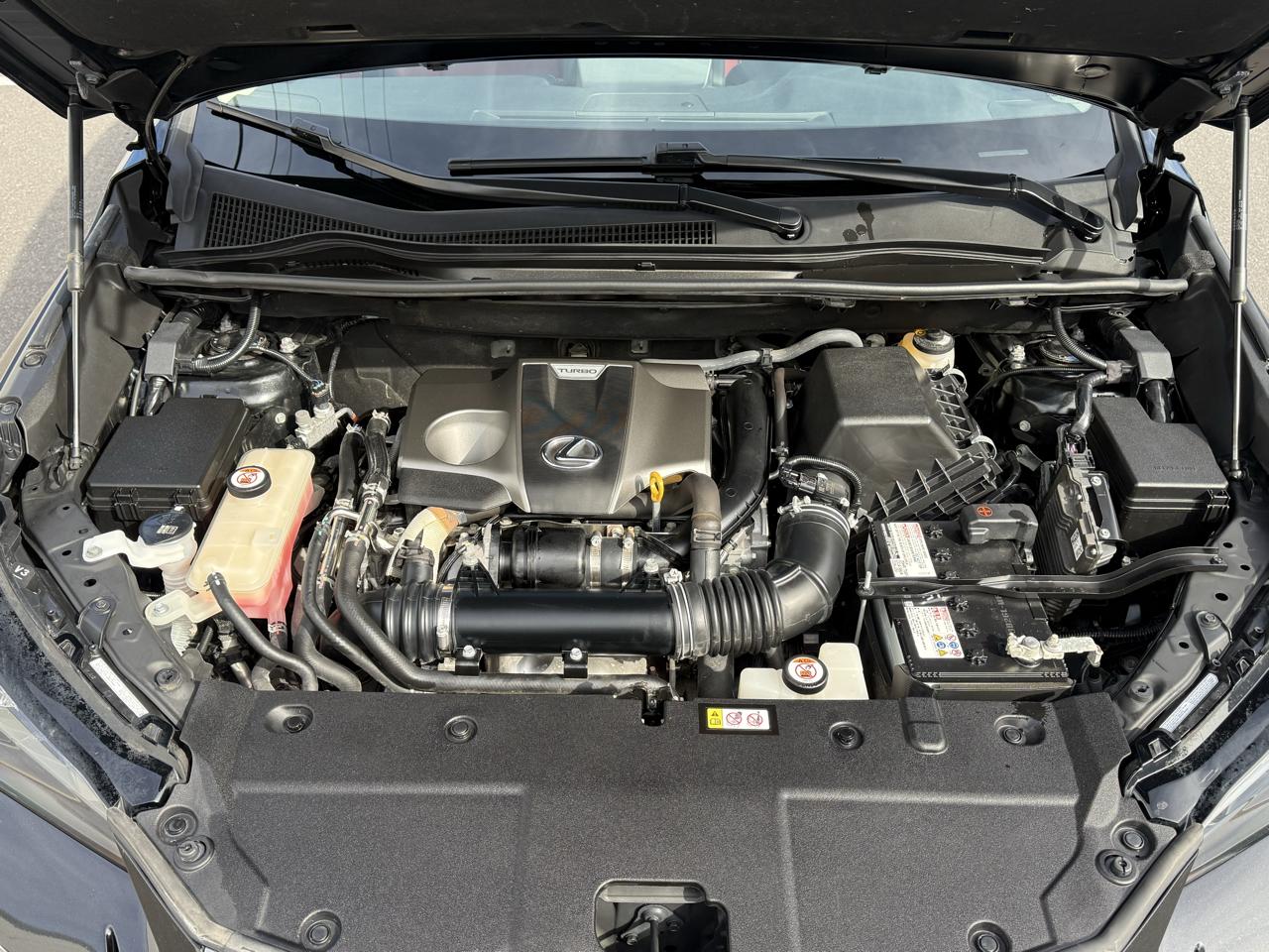 Lexus NX NX 300 AWD 2019