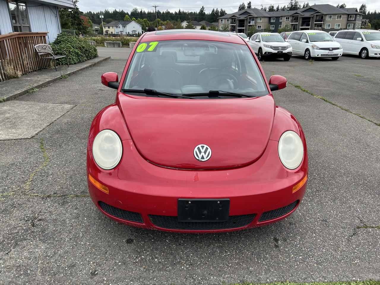 Volkswagen Beetle photo 3