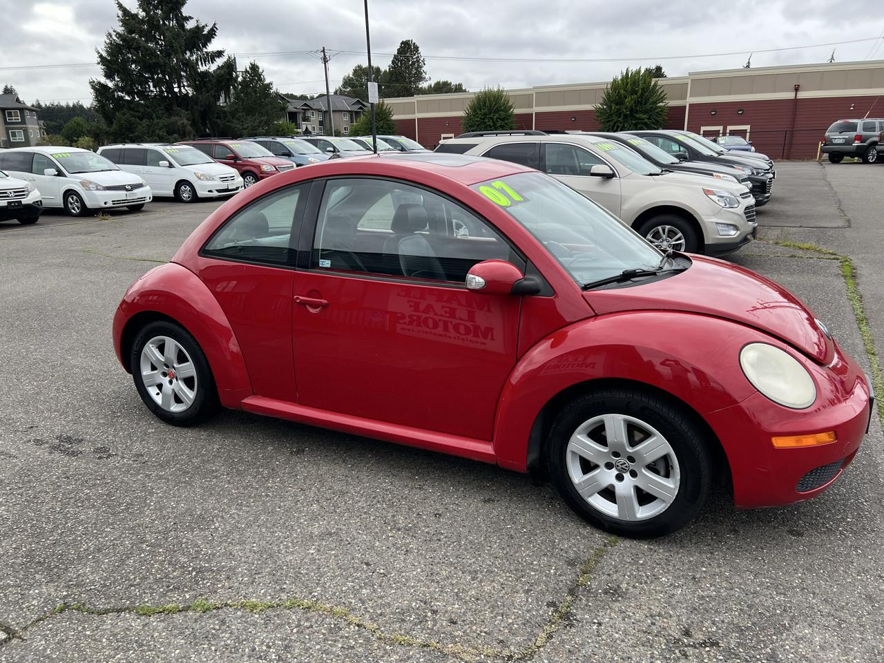 Volkswagen Beetle photo 6