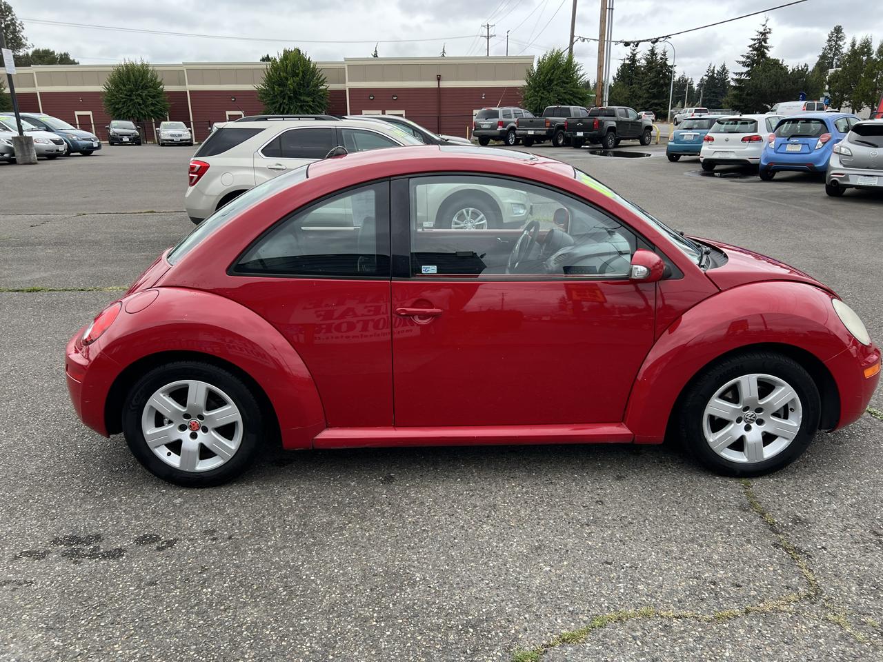 Volkswagen Beetle photo 7