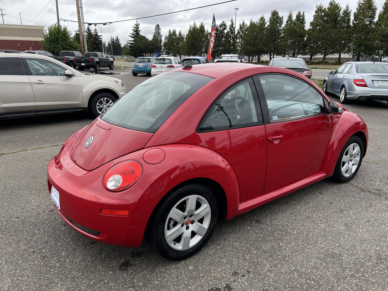 Volkswagen Beetle photo 8