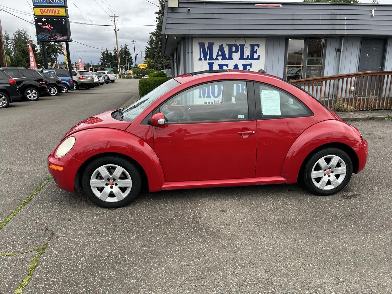 Volkswagen Beetle photo 14