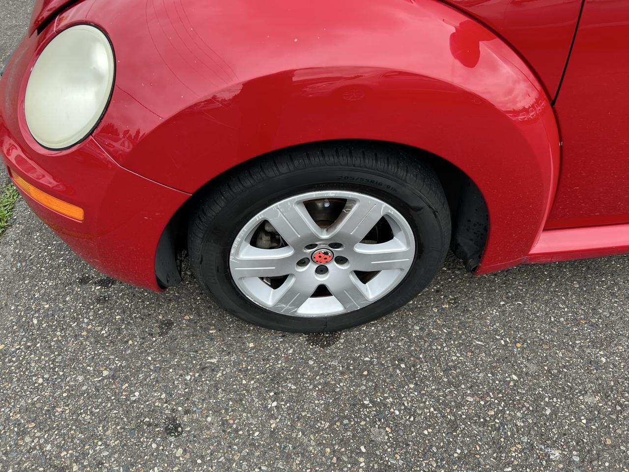Volkswagen Beetle photo 16