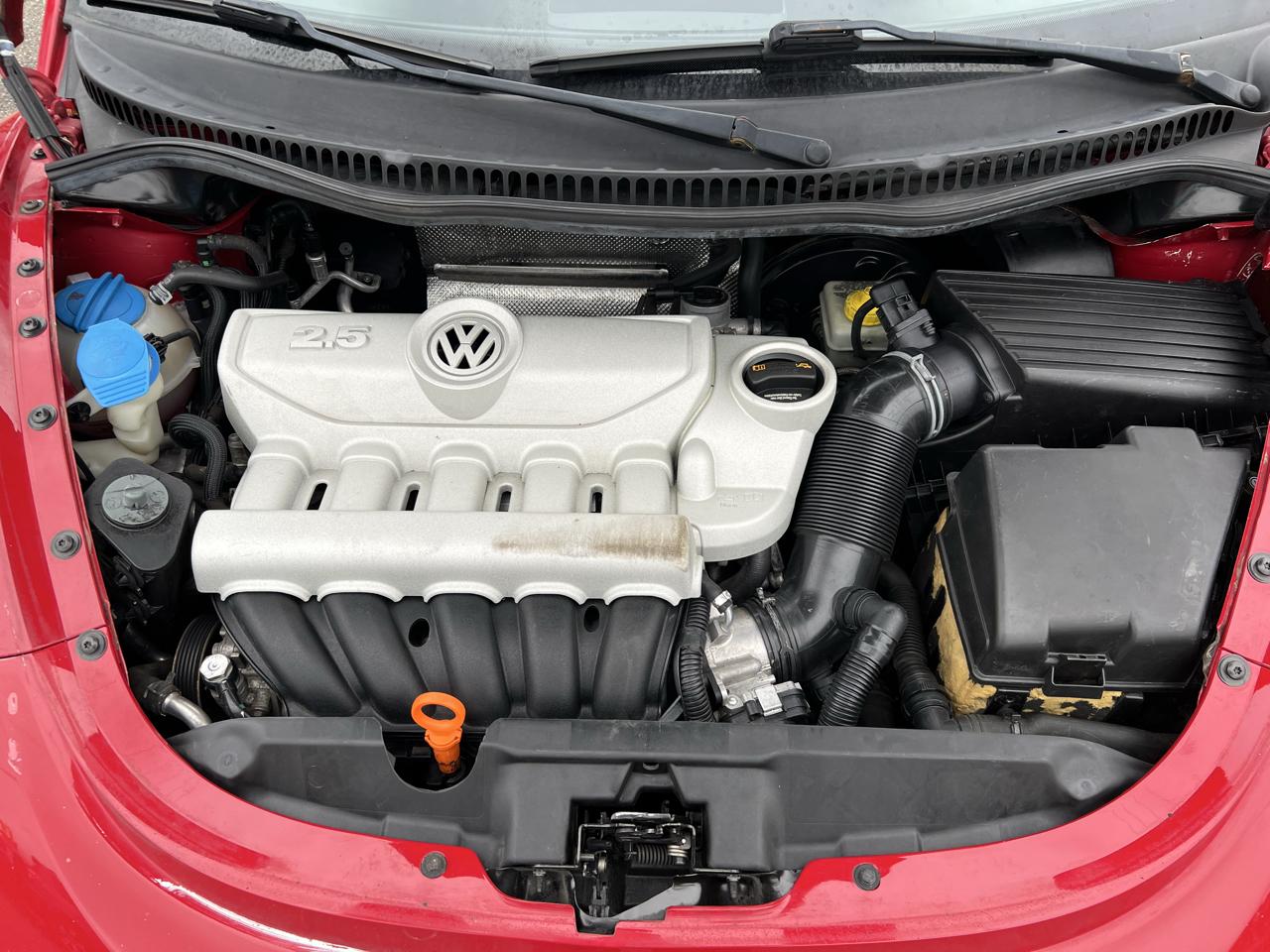 Volkswagen Beetle photo 30