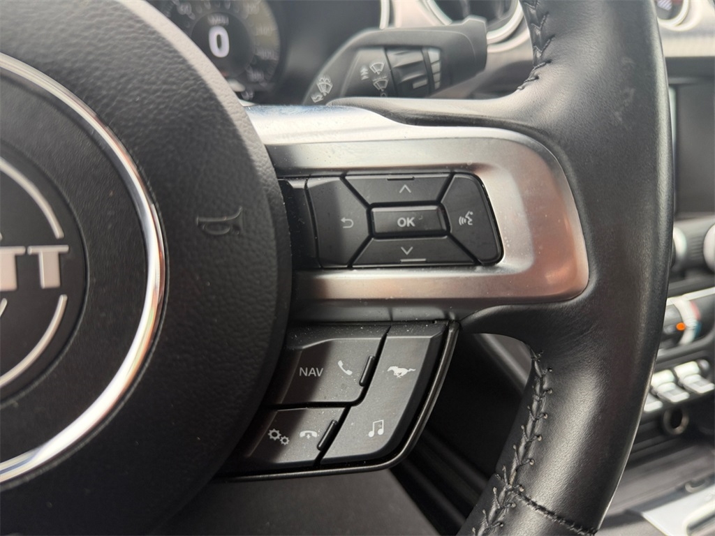 Ford Mustang  2019 Ford Mustang  2019