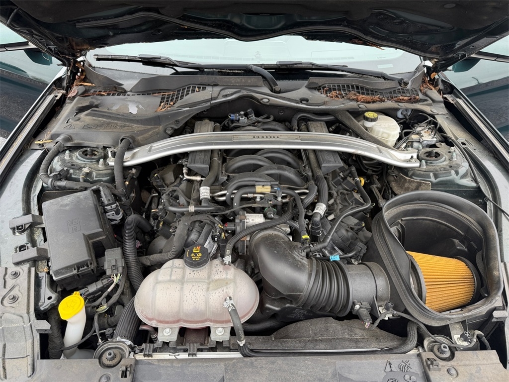 Ford Mustang  2019 Ford Mustang  2019