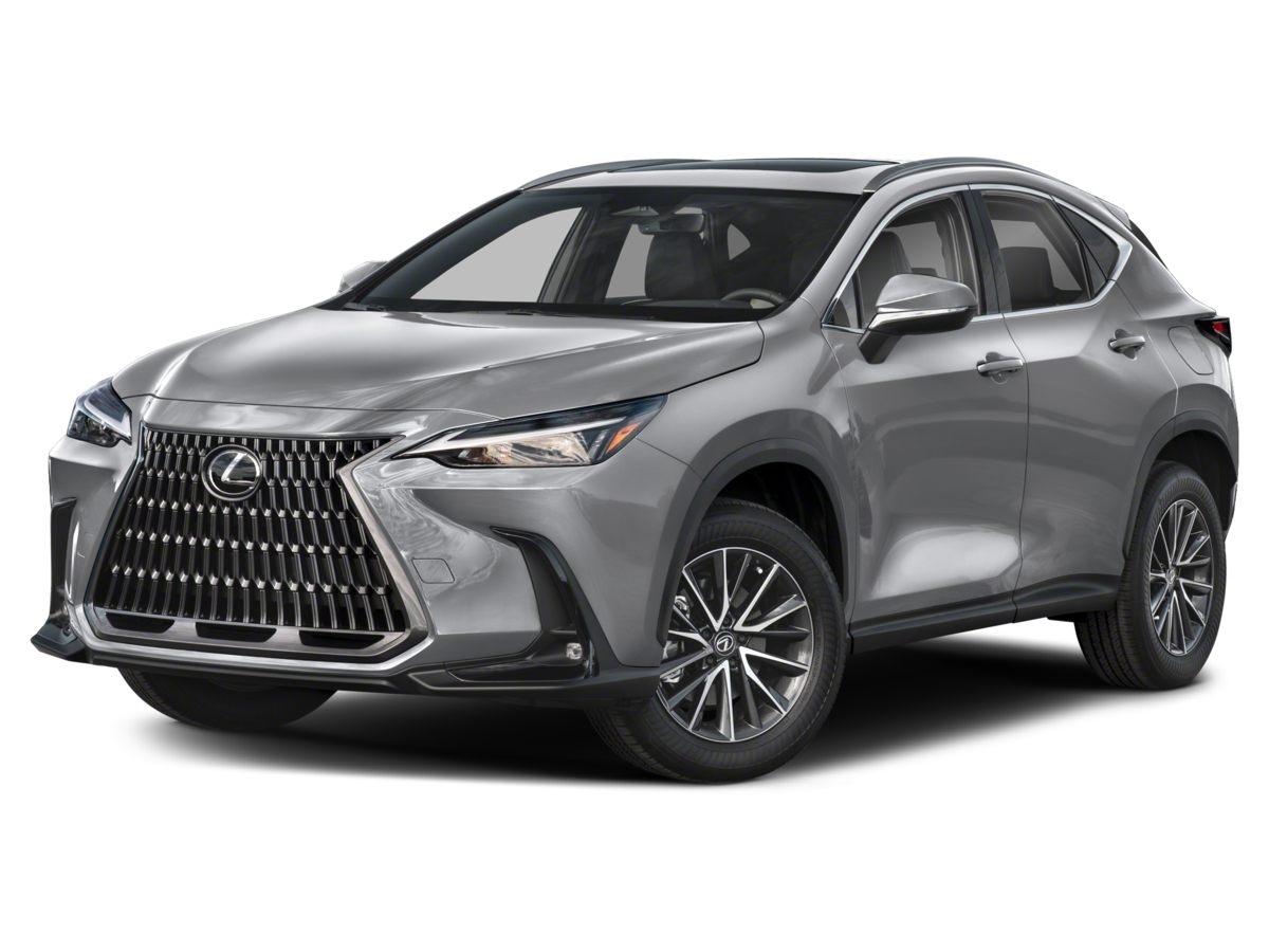 Lexus NX  2023