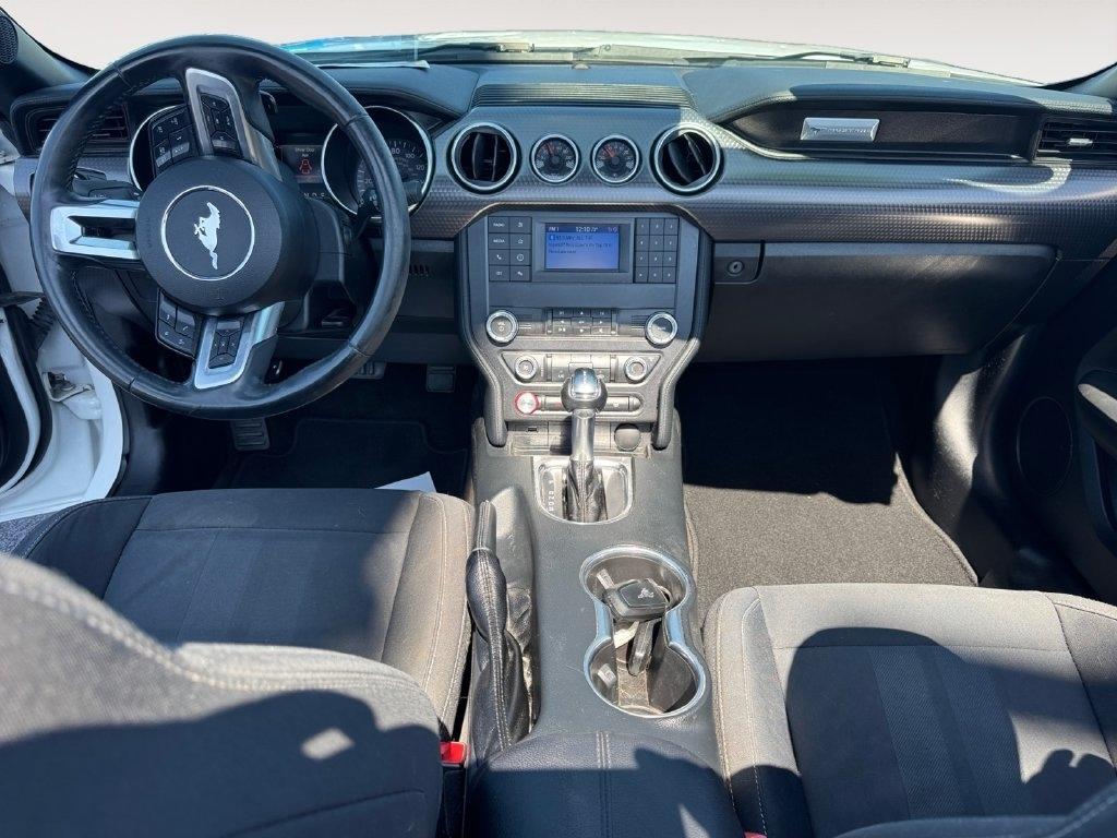 Ford Mustang  2019