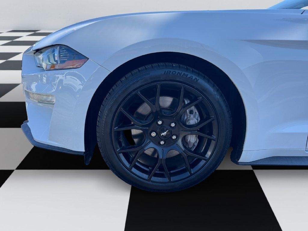 Ford Mustang  2019