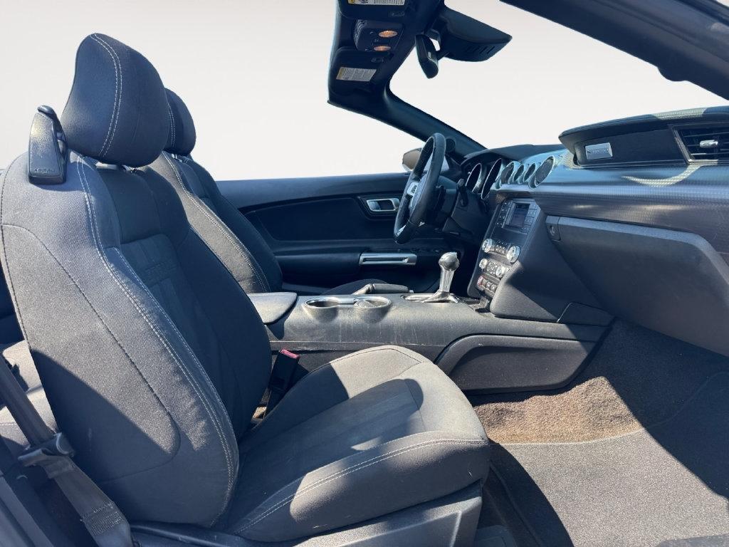 Ford Mustang  2019