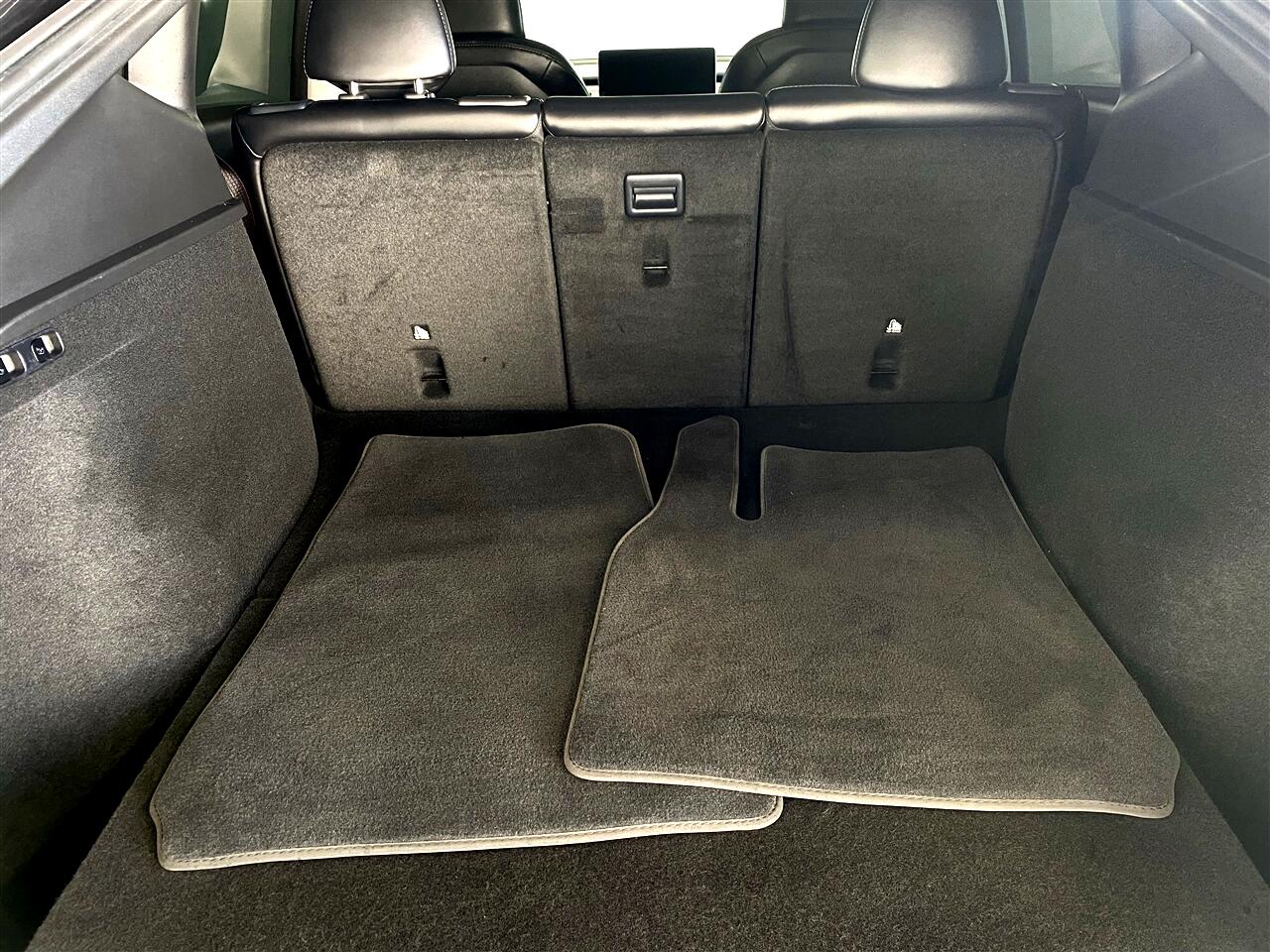 Tesla Model Y Performance 2024