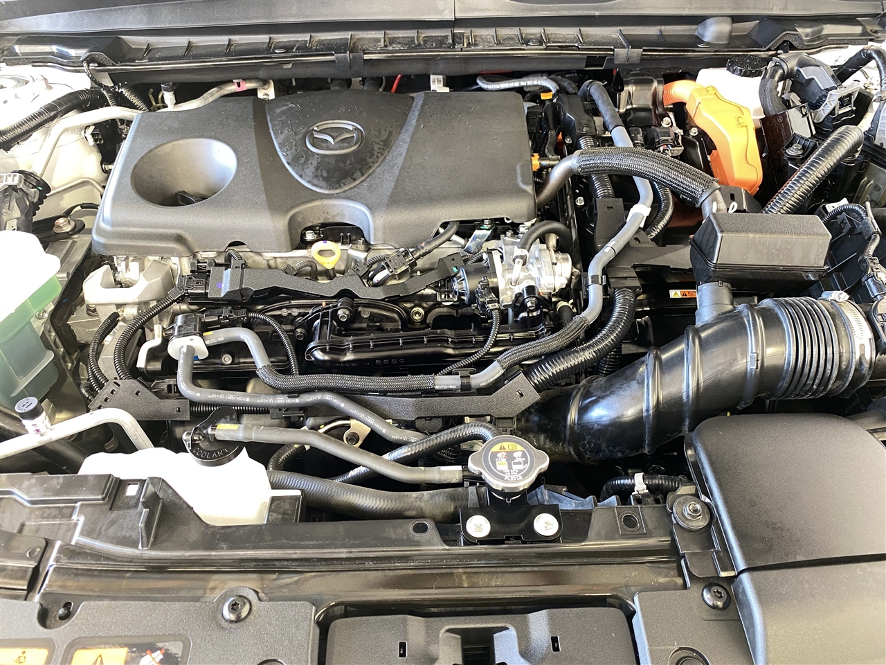 Mazda CX-50 Hybrid Premium Plus 2025